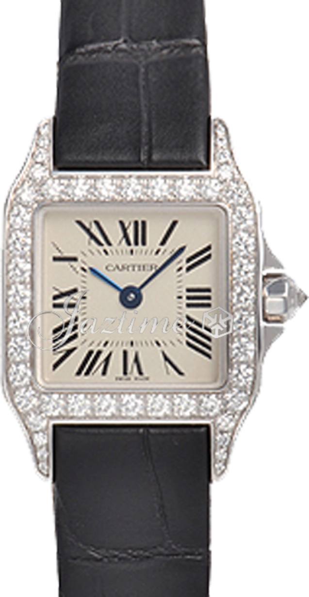 Cartier WF902007 Santos Demoiselle Ladies Quartz Silver
