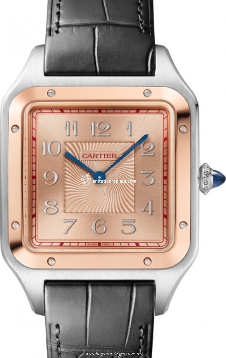 Cartier W2SA0025 Santos-Dumont Men's Manual-Wind 
