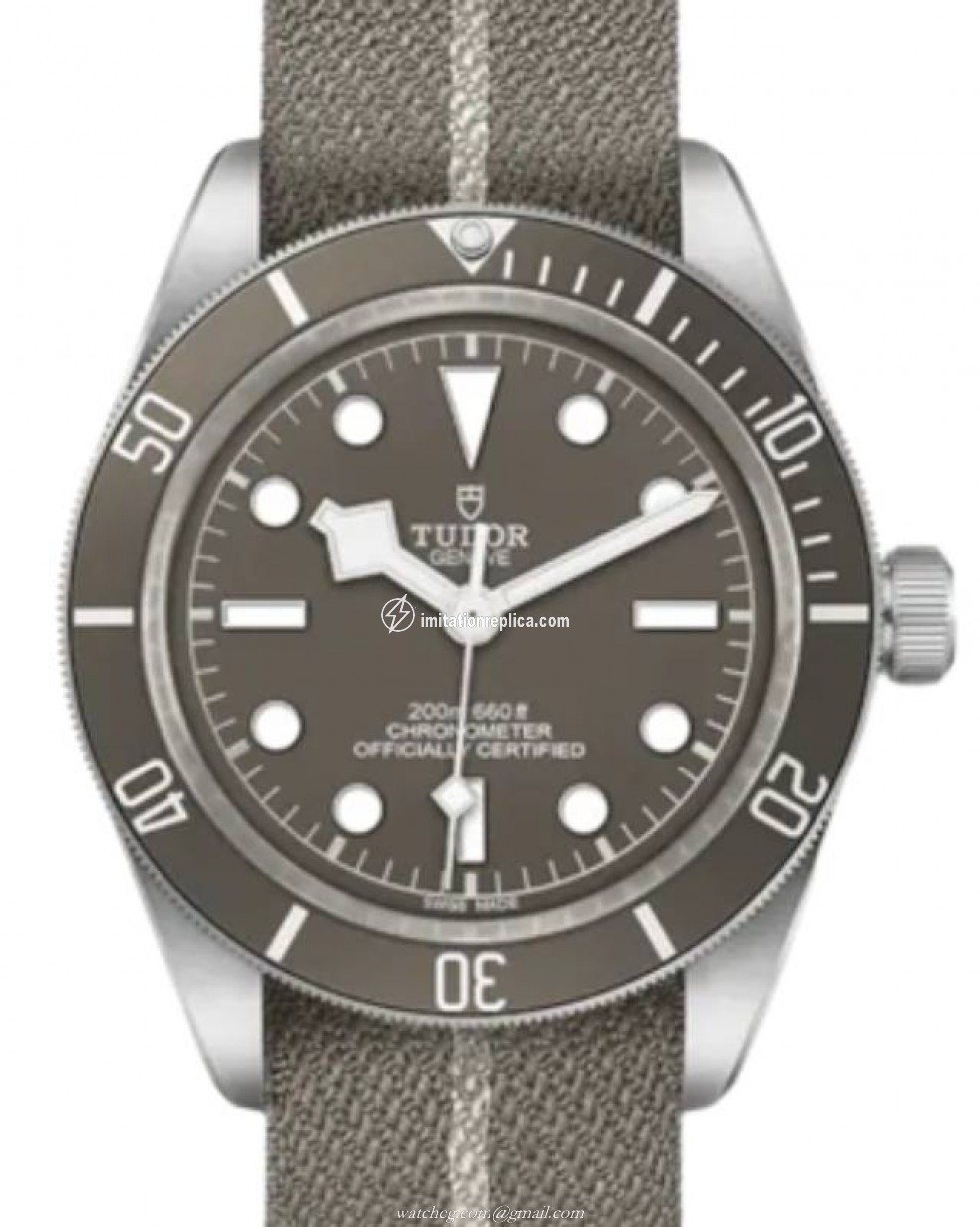 Tudor M79010SG-0002 Black Bay Fifty-Eight Automatic